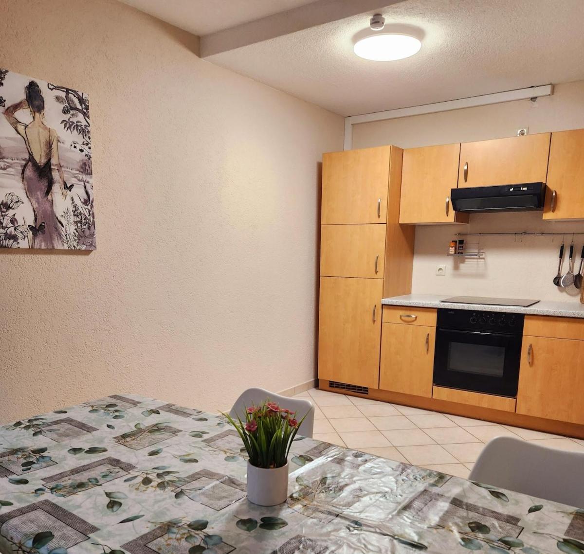 Sj Apartment Chemnitz Extérieur photo
